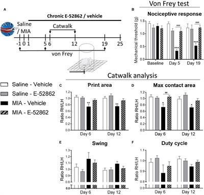 Blockade of the Sigma-1 Receptor Relieves Cognitive and Emotional Impairments Associated to Chronic Osteoarthritis Pain